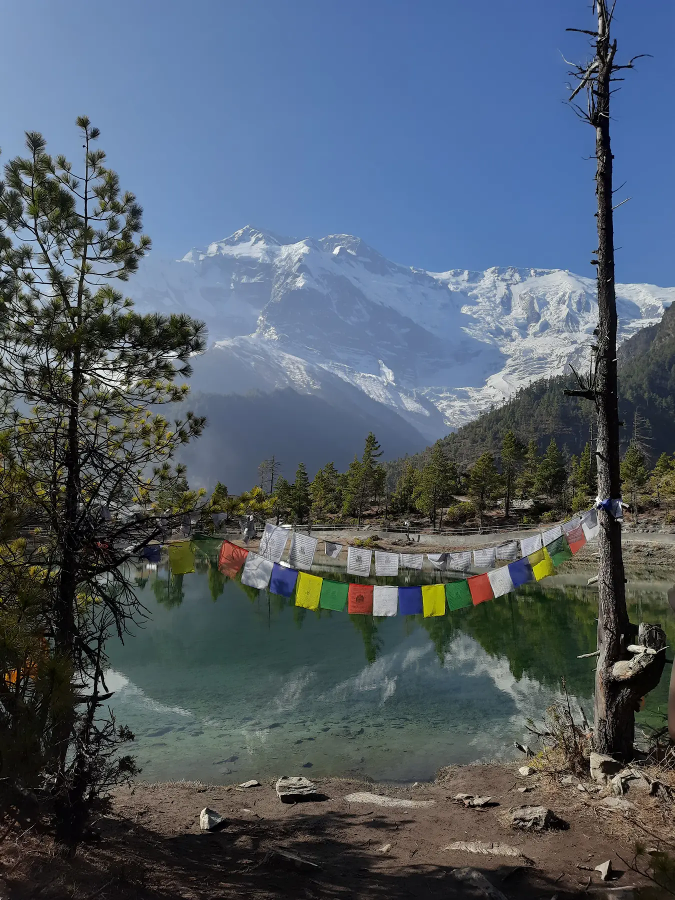 Prayer flags above Gangapurna Lake below the Annapurna range, on the Manang acclimatisation walk
